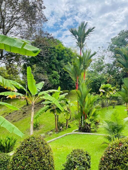 Suenos De Amor! Hermoso Y Acogedor Lugar Quepos Eksteriør bilde