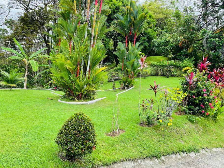 Suenos De Amor! Hermoso Y Acogedor Lugar Quepos Eksteriør bilde